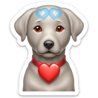 Silver Labrador retriever with heart collar sticker