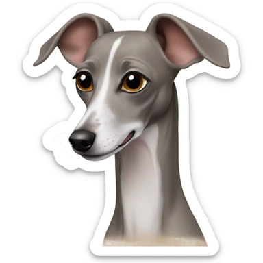 Italian greyhound  sticker
