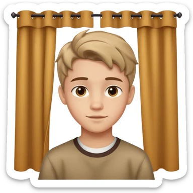 14-year-old boy with light skin, brown curtain hairstyle parted in the middle, warm friendly expression sticker