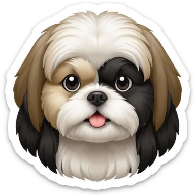Black and white shih tzu

 sticker