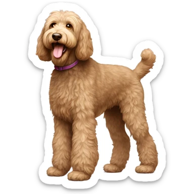 Australian Labradoodle, Full Body sticker