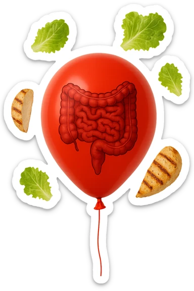 intestino chiuso in un palloncino rosso e foglie di insalata e petto di pollo grigliato che fluttuano intorno sticker