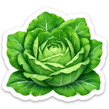 iceberg lettuce leaves sticker