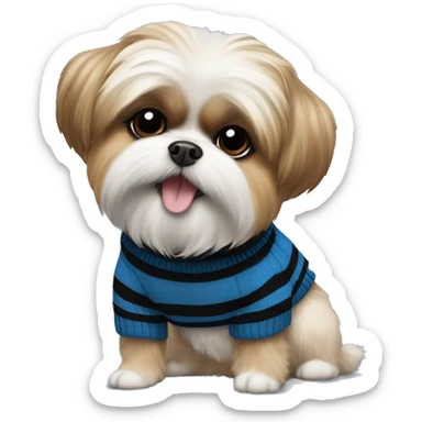 Shih Tzu and Pomeranian dog mix with a blue and black stripped sweater on and a black collar  sticker