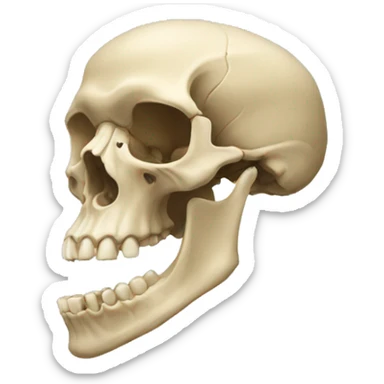 mandibula marcada sticker