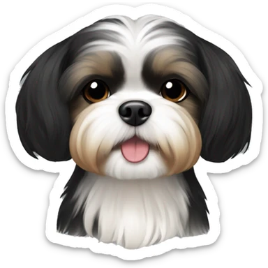 black and tan shih tzu maltese mix, black head fur, no white fur sticker