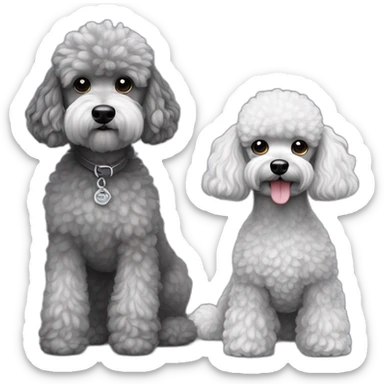 Mini toys poodle blanca junto a un schnauzer gris sticker