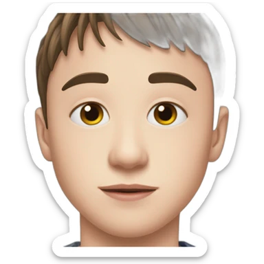 Noah schnapp sticker