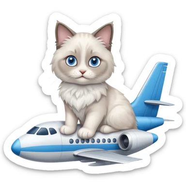 Cute ragdoll cat on an airplane. Should sit on top of the plane, cat is way bigger than airplane sticker