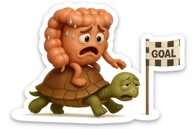  EMOJI STILE IPHONE 3D DI UN INTESTINO CON ESPRESSIONE ANGOSCIATA CHE CAMMINA SEDUTO IN GROPPA SUL GUSCIO DI UNA TARTARUGA IN ATTESA ESTENUANTE DI RAGGIUNGERE UN TRAGUARDO POCO PIù AVANTI, SULLA LORO DESTRA. IL TRAGUARDO è UNA BANDIERA A DUE PIEDI CON FASCIA A SCACCHI BIANCHI E NERI. iperrealistico 4k sticker