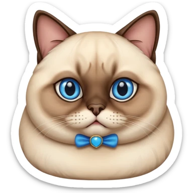 chubby siamese cat sticker