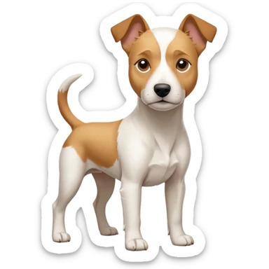 a full body facing front on of a buff white parson russell terrier looking dog the size of a kelpie with light brown long ears resting on its face and a light brown patch above one eye and a large snout. the rest of the dog is completely white.  sticker
