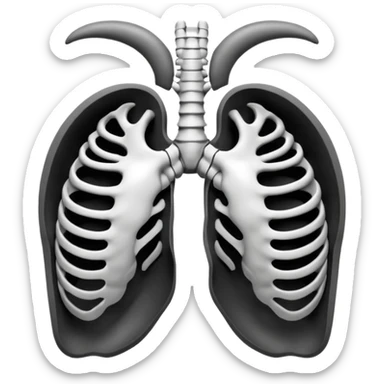 3D render of Ribcage, X-Ray imaging aesthetic, translucent materials showing internal structure, skeletal chest bones in high contrast black and white, medical scan style, Apple emoji style, isolated on white background --v 6.0. sticker