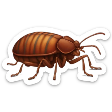 bedbug sticker