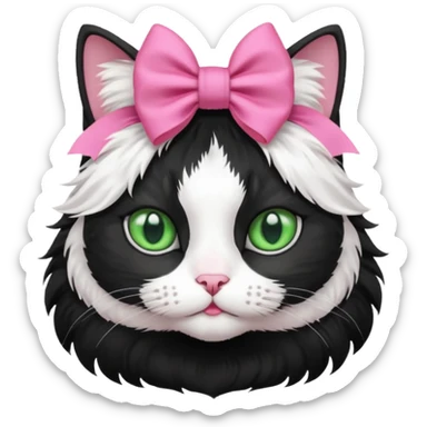 A black and white cat with green eyes she has a bow on her head she’s kinda fluffy  sticker