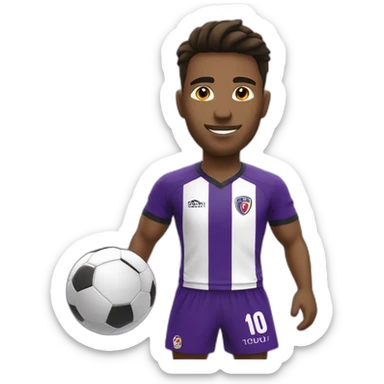 Toulouse football club sticker