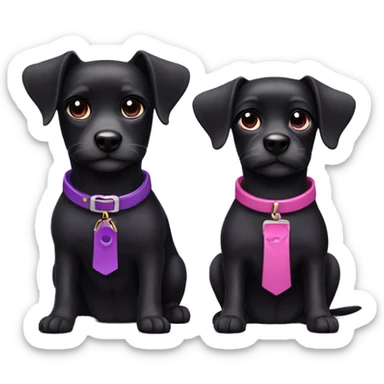 Two small black dogs with pink and purple collars sticker