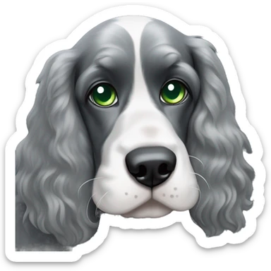 Black and grey cocker spaniel with one blue eye one green eye sticker