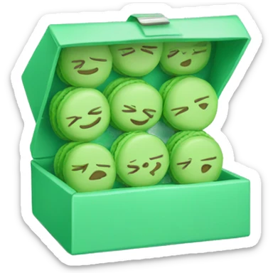 macaroons in baby green box sticker