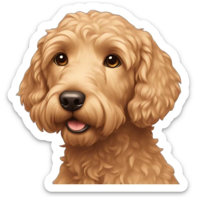 Golden doodle hairless sticker