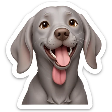 cinematic-cute-yawning-weimaraner-portrait-emoji,-head-tilted-slightly-with-a-dramatic,-wide-open-yawn,-revealing-a-sleek grey fur-with-a-subtle-shimmer,-floppy-ears-slightly-drooping,-round-brown-eyes-barely-open-in-drowsy sticker