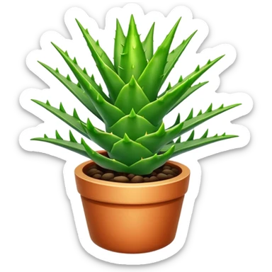 aloe vera sticker