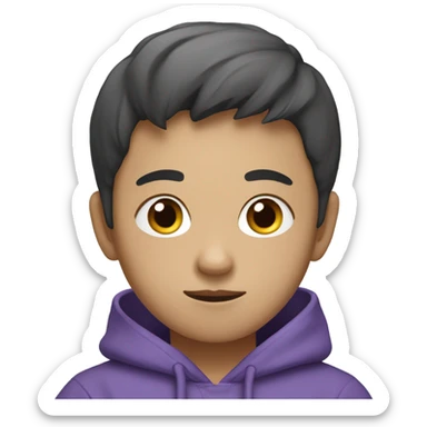 Korean boy in purple Hoodie with laptop sticker