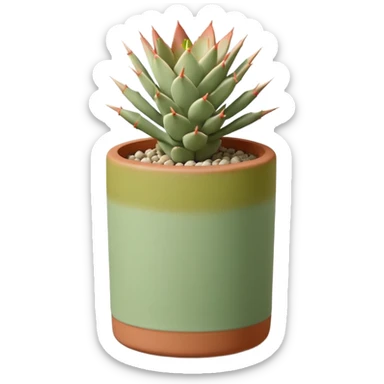 A ceramic pot in a pastel terracotta color, shaped like a cylinder, the pot is tall and contains an Acanthocalycium Glaucum cactus plant. sticker