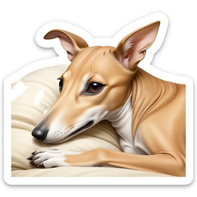 Meme-Worthy Cute Sleeping Fawn Greyhound Portrait Emoji, Head resting peacefully with a contented smile, showcasing a slender build and a luxuriously smooth fawn Fur, eyes shut in a serene nap, Simplified yet hilariously adorable features, highly detailed, glowing with a soft, drowsy light, high shine, relaxed and utterly lovable, stylized with an air of playful laziness, bright and heartwarming, soft glowing outline, capturing the essence of a comically sleepy racer, so meme-worthy it feels like it could instantly become the next viral sensation of adorable slumber! sticker