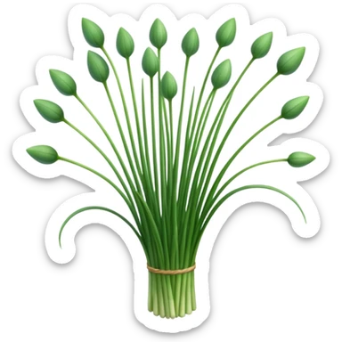 chives  sticker