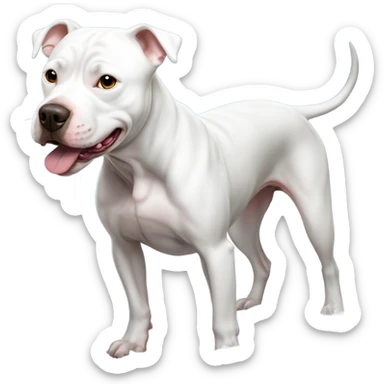 Dog white pitbull takes a shower sticker