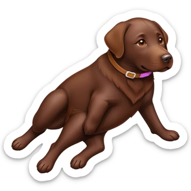 Chocolate lab on its back sticker