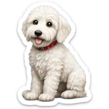 Witte Mini labradoodle kerst sticker