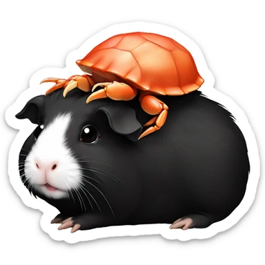 Cute Black guinea pig with crab sticker