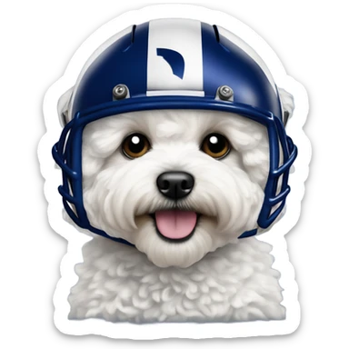 White fluffy maltipoo wearing LA Rams football helmet royal blue sticker