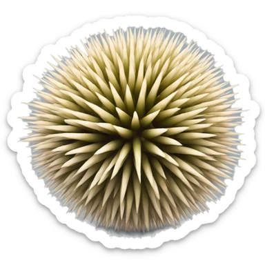 Sphere made of porcupine quills sticker