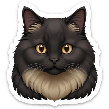 Black Lop-eared cat, skotishfold sticker