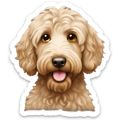 Australian labradoodle sticker