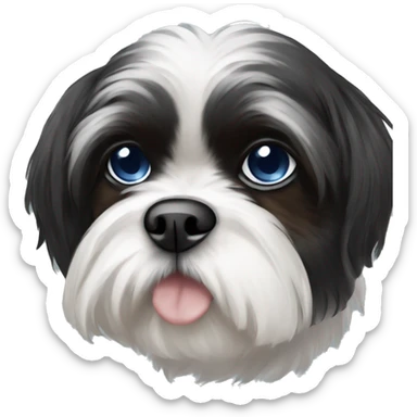 black and white shih tzu with one brown eye and one blue eye sticker