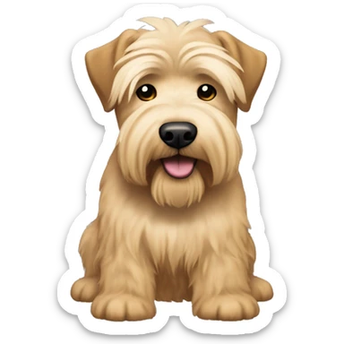 Wheaten terrier with long lighter color hair, darker color ears and black chin sticker