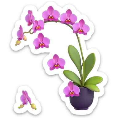 Detailed phalaenopsis moth orchid with realistic texture, elegant arching stem and multiple blooms sticker