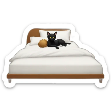 a men sleeping with a black cat on this bed sticker