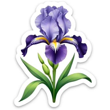 bouquet Soft Green Iris, luxuriant, leaf, bud sticker