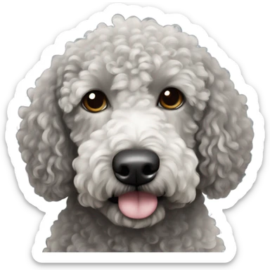 Spanish curly water dog black with black face and white little spot only on its chest sticker