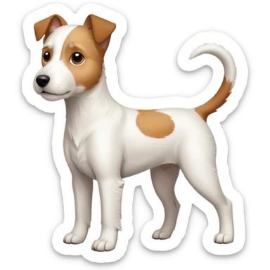 a full body large white parson russell terrier looking dog the size of a kelpie with light brown big ears and a light brown patch on one eye and a large snout sticker