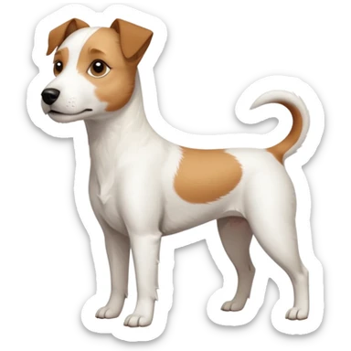 a full body slightly chubby white parson russell terrier looking dog the size of a kelpie with light brown long ears and a light brown patch on one eye and a large snout sticker