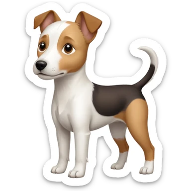 a full body slightly chubby white parson russell terrier looking dog the size of a kelpie with light brown long ears and a light brown patch on one eye and a large snout. the rest of the dog is completely white. forward facing sticker