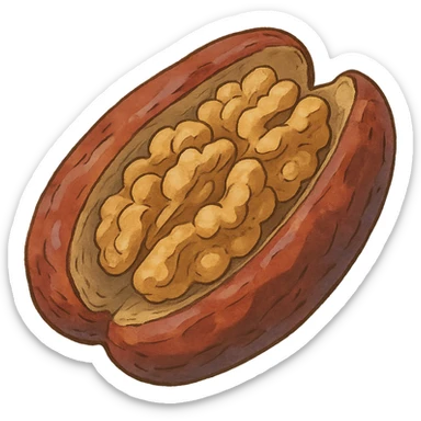 ghibli style illustration of a date fruit split open with walnuts inside sticker
