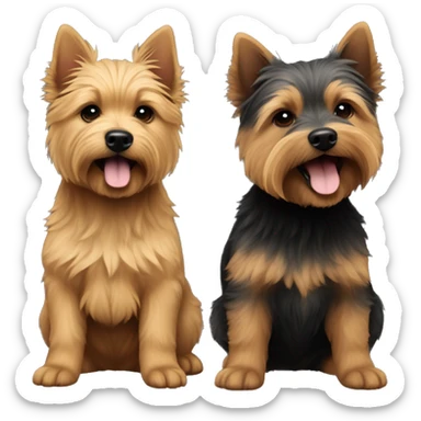 Two Puppy of Norwich terrier one is grizzly colour and second is black and tan colour sticker