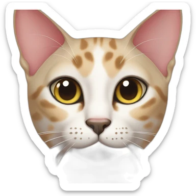 Tessa oriental cat sticker